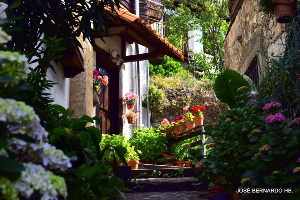 Casa Rural Amparo Mogarraz Exterior foto